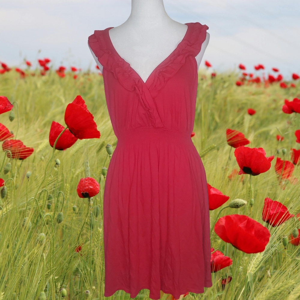 Express Rose Red Ruffle Trim Sleeveless Above The Knee Dress